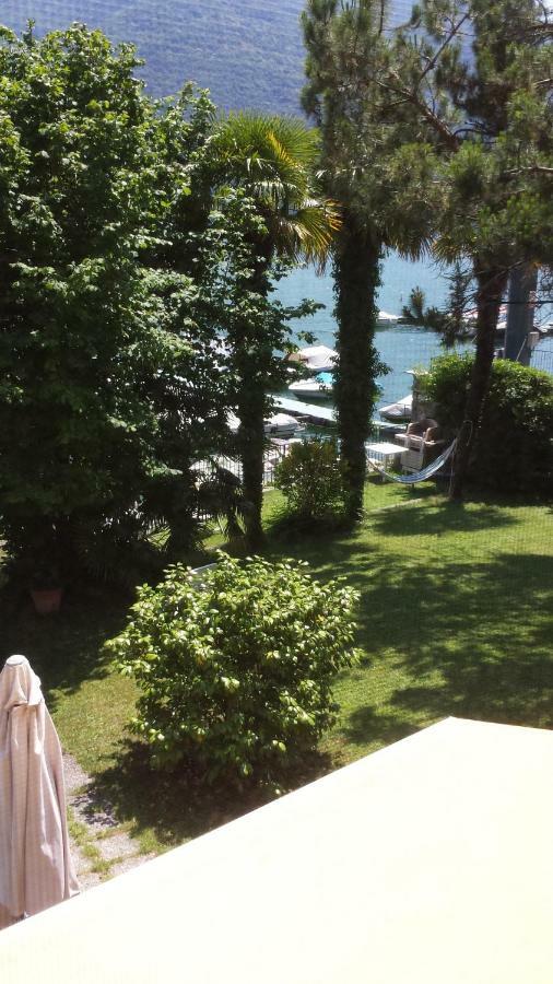 Le Palme Antonella Villa Cima ภายนอก รูปภาพ