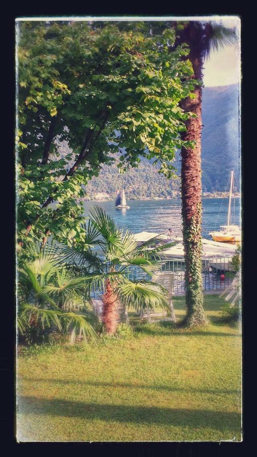 Le Palme Antonella Villa Cima ภายนอก รูปภาพ